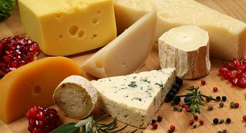علماء يحذرون تناول الجبن إدمان