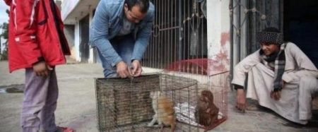 بالصور مواطن مصري يحول منزله إلى حديقة حيوان