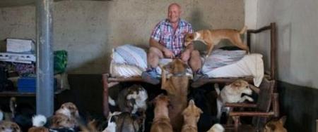 بريطاني يتخلى عن عمله ويسافر إلى طنجة للعيش رفقة 150 كلباً في غرفة تعرف على قصته