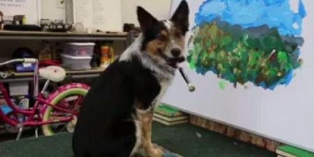 بالفيديو شاهد كلبًا يرسم لوحة فنية