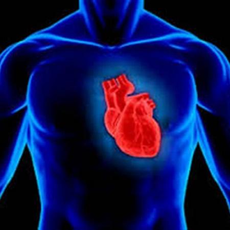 10 علامات تؤكد إصابتك بضعف في عضلة القلب