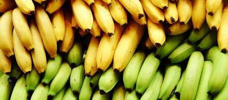 أيهما أكثر فائدة الموز الأصفر أم الأخضر؟