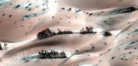 صورة لكائنات غريبة على كوكب المريخ تحير العلماء