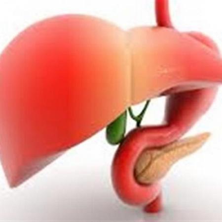 5 أطعمة تزيد من كفاءة ونشاط الكبد في التخلص من السموم