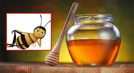 فوائد تناول ملعقة عسل نحل قبل النوم