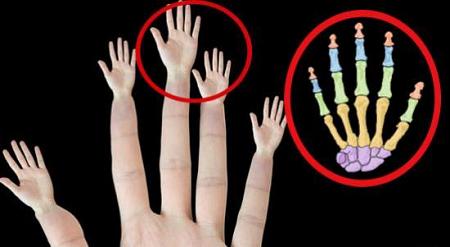 السر الذي حير الجميع حتى الآن وراء اختلاف الأصابع في يد الإنسان