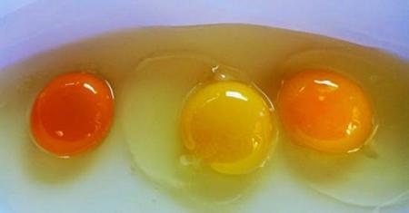كيفية التعرف على البيض الصحي من البيض السيء