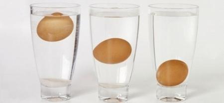 إذا طفت البيضة على سطح الماء فهي غير صالحة للأكل والمزيد من حقائق الطعام