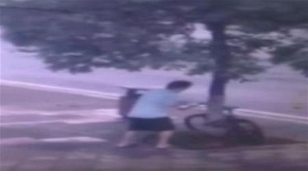 بالفيديو لص صيني يقطع شجرة لسرقة دراجة مربوطة بجذعها