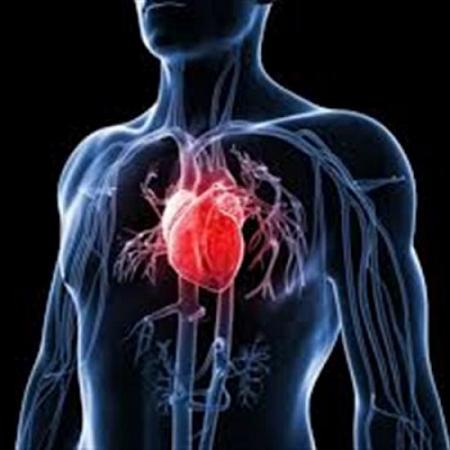 حصوات المرارة تسبب الإصابة بأمراض القلب والشرايين