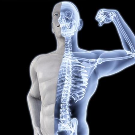 6 نصائح للحصول على عظام صحية