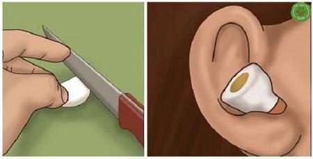 ماذا يحدث لو وضعت فص من الثوم في الأذن ؟؟