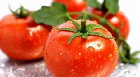 لماذا تفقد الطماطم مذاقها الأصلي عند حفظها في الثلاجة؟الطماطم