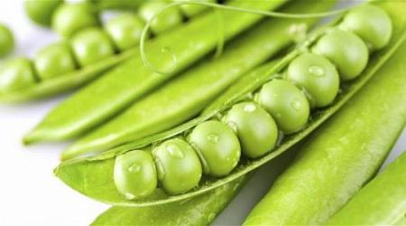 10 أسباب مهمة ستجعلك تتناول البازلاء الخضراء يومياً