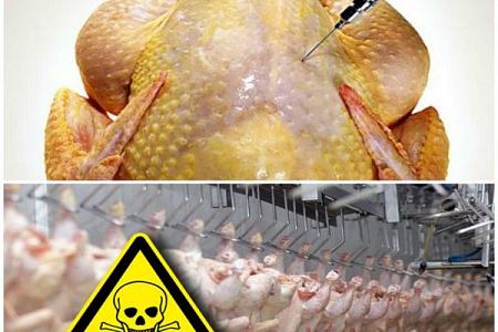 إدارة الغذاء والدواء الأمريكية FDA تعترف أن لحم الدجاج مليء بالزرنيخ المسبب للسرطان 