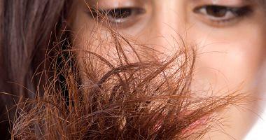 6 نصائح لعلاج الشعر التالف والمتقصفلا مفر من التقليم والترطيب