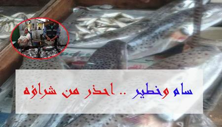 خطير جدا سمك القراض السام في سوق الجيزة نوع سام ومميت يسبب الوفاة خلال 6 ساعات احذر من شراؤه