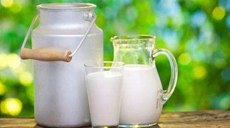 الفرق بين الحليب البقري والحليب الجاموسي وأيهما أفضل لصحتك