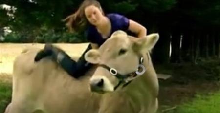 بالفيديو فتاة تحول بقرتها إلى حصان