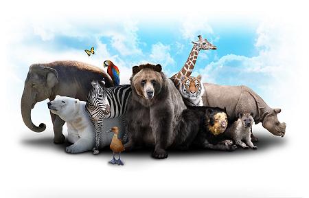كم عدد الحيوانات الموجودة في العالم؟
