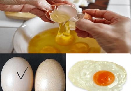بالفيديو تحذيرات عن مخاطر البيض الصينى المغشوش وكيفية تفريقه عن البيض الطبيعى