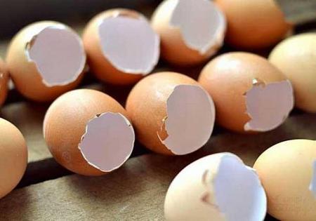 فوائد مذهلة لقِشر البيض من المهمّ التعرّف إليها!