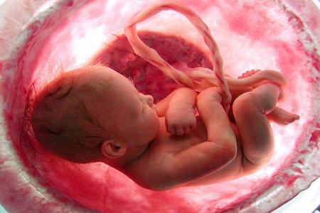 أول 10 صور مدهشة لحياة الجنين داخل بطن الأم 