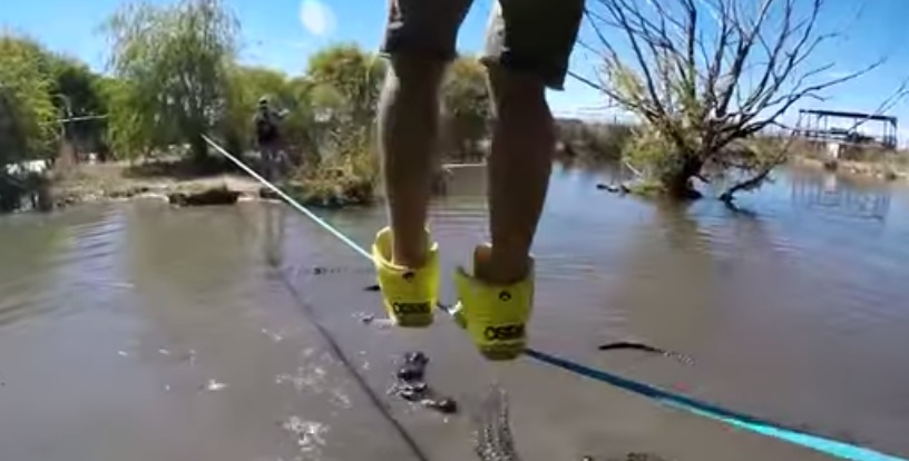 فيديو مغامر متهور يسير على حبل فوق بحيرة مليئة بالتماسيح المفترسة
