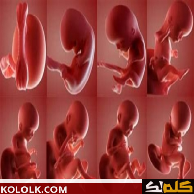 علامات انخفاض السائل الأمنيوسي حول الجنين