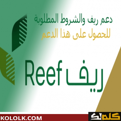 رابط تسجيل دعم ريف 1443 reef.gov.sa للأسر المنتجة