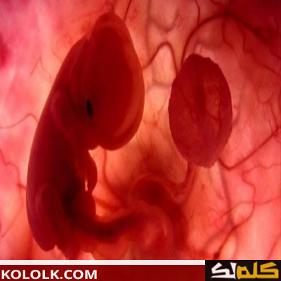 ماذا يحدث من اعراض عند توقف نمو الجنين في الشهر الثاني