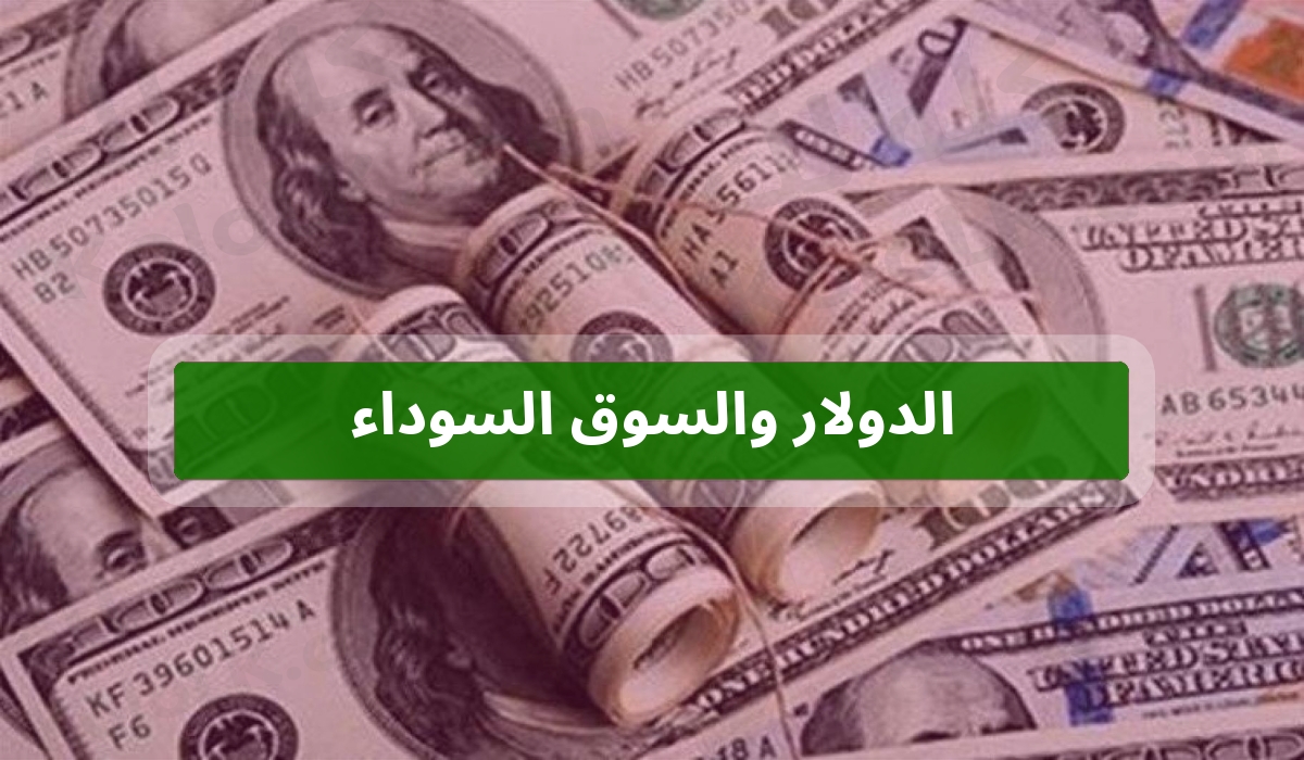 الدولار والسوق السوداء فى مصر الى اين سيذهب ؟