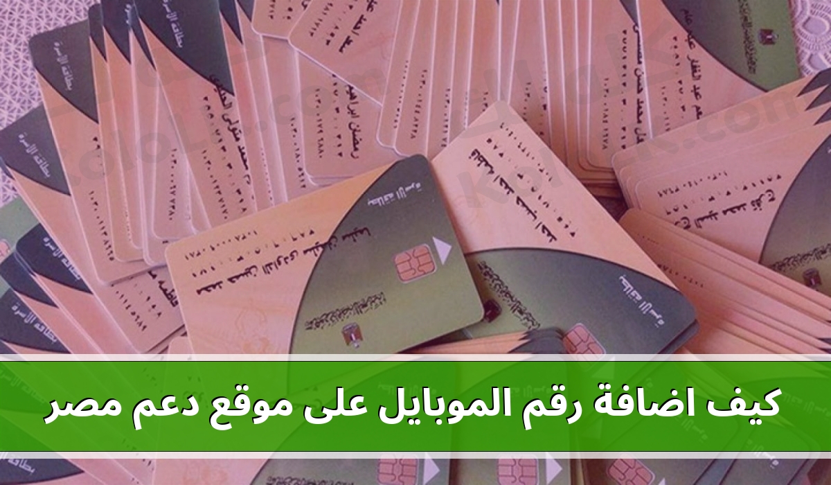 كيف اضافة رقم الموبايل على موقع دعم مصر .. بطاقات التموين