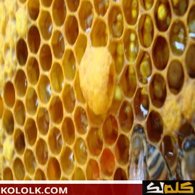فوائد غذاء ملكات النحل للبشرة