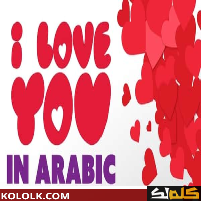 معلومات عن اليوم العالمي للغة العربية