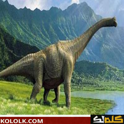 معلومات عن الديناصورات