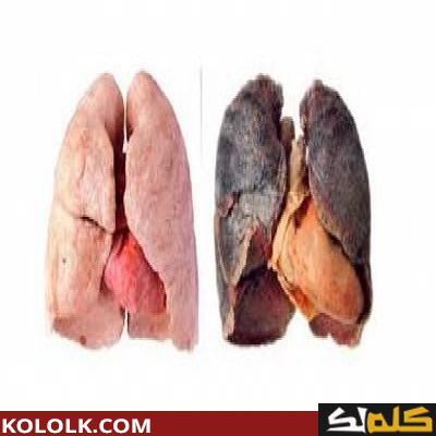 كيف يتم تنظيف الرئة من آثار التدخين