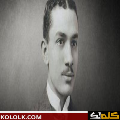 أحمد زكي أبو شادي