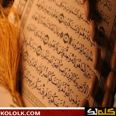 كم جزء في القرآن