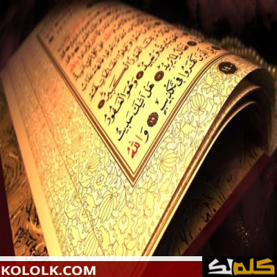 أهمية وفائدة القرآن