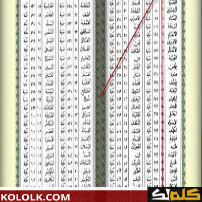 كم سورة في القرآن