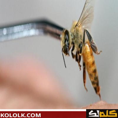 فوائد العلاج و دواء بسم النحل
