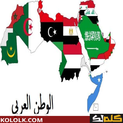 أهمية وفائدة الوطن العربي