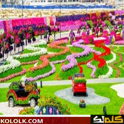 أين موقع حديقة الزهور في دبي