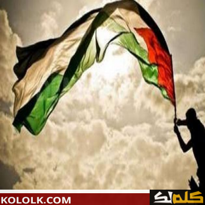 خواطر عن فلسطين