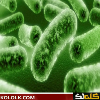 فوائد البكتيريا النافعة للإنسان