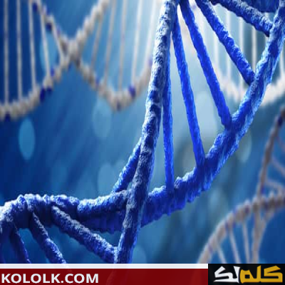 معلومات عن الحمض النووي