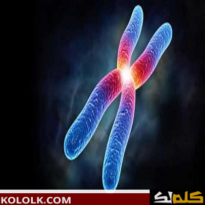 وظائف الكروموسومات في الجسم