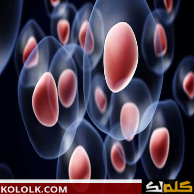 الخلايا الجذعية واستخداماتها في الحياة