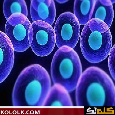 استخدامات الخلايا الجذعية